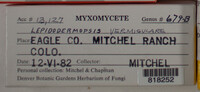 Image Associated With the Occurence